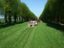 Lindenallee