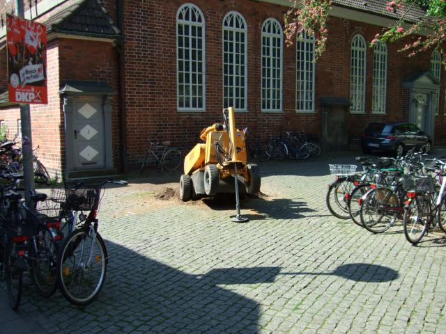 Bild