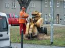 Stubbebfr&auml;sen in Zossen