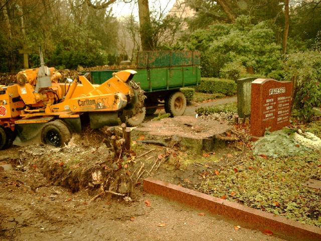 Eichenstubben Friedhof