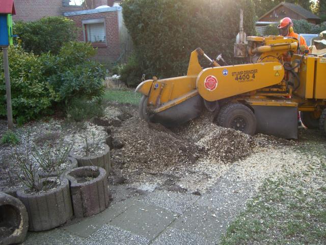 Kastanienstubben