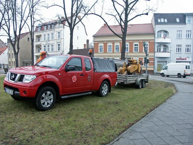 Stubbenfr&auml;sen in Zossen